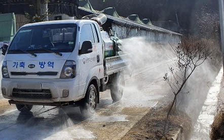 강원 홍천군이 ASF 등 가축전염병 차단을 위해 방역활동을 하고 있다.    홍천군 제공